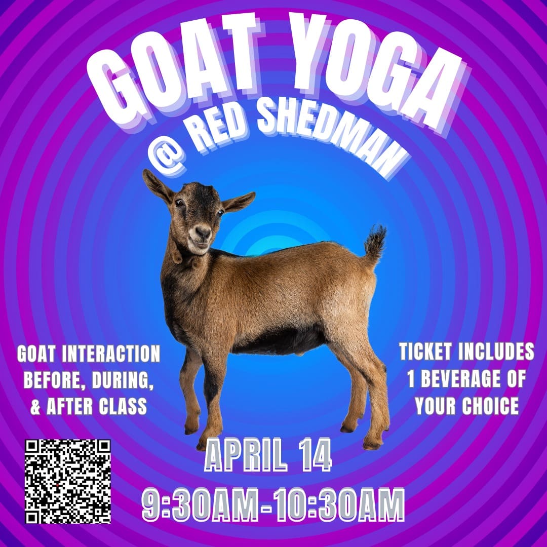 Goat Yoga Red Shedman Brewery And Hop Farm   432782701 923508516444523 2721808498893469164 N 